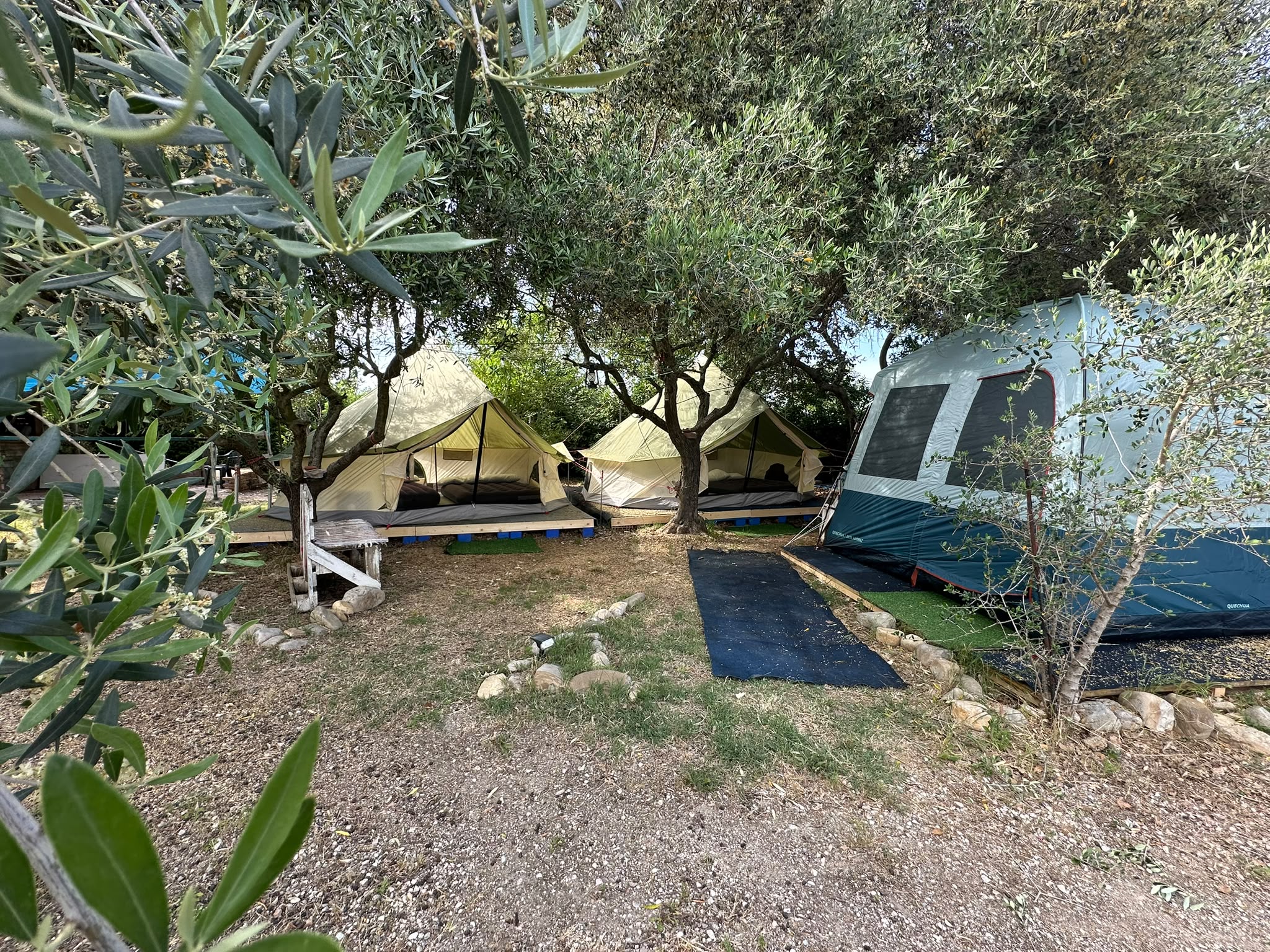 Spazi verdi dell'area bivacco sotto gli alberi